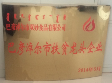 扶贫龙头企业